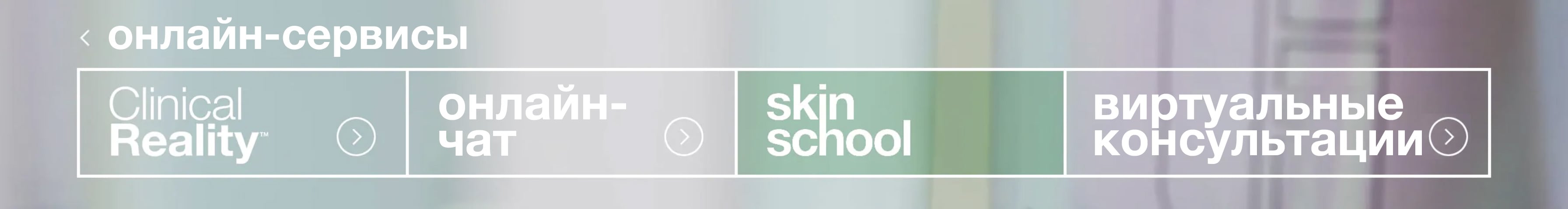 Skin School