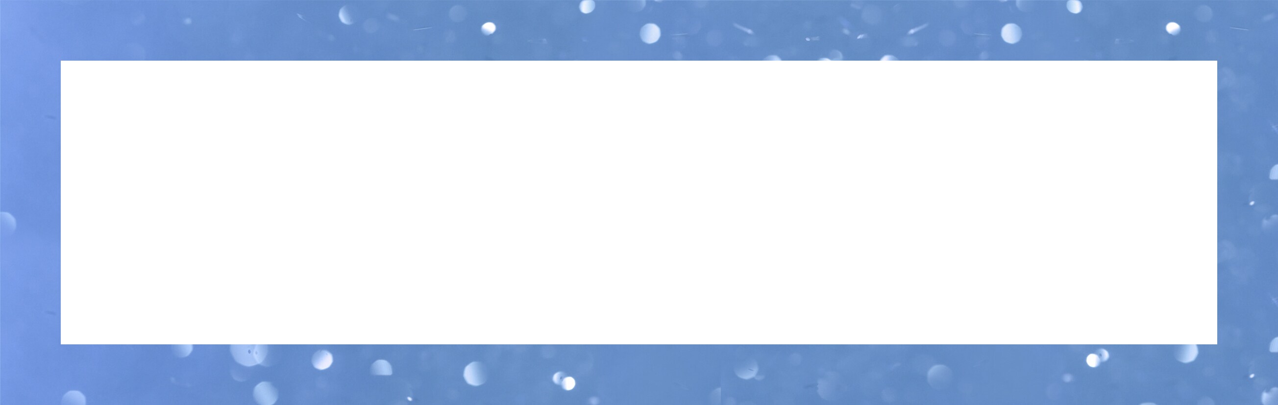 cosultant